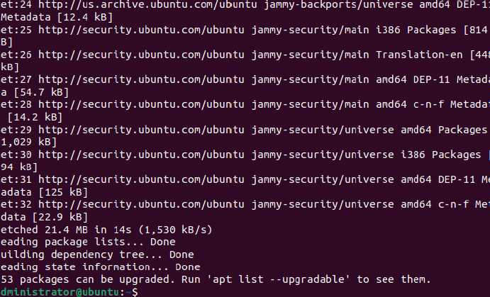 Output of sudo apt update showing repository fetches